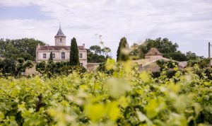 Conviviality appoints Clarion