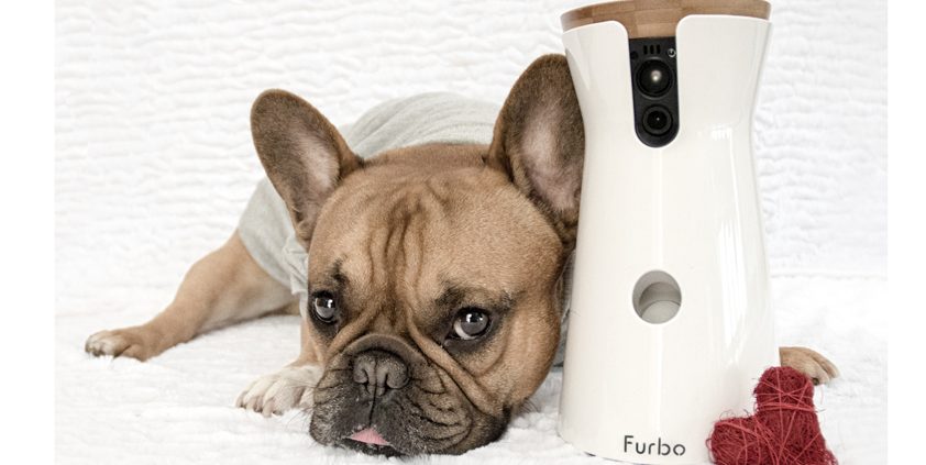 Furbo appoints Clarion