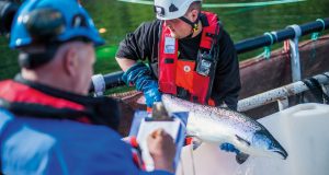 Benchmark Holdings hands financial comms brief to MHP Communications
